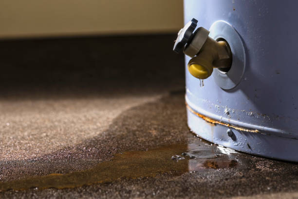 Best Water damage mitigation services  in Teviston, CA
