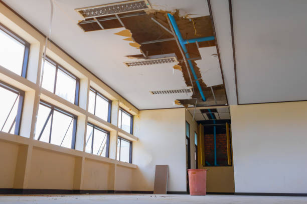Best Residential water damage restoration  in Teviston, CA