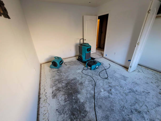 Best Local water damage restoration  in Teviston, CA