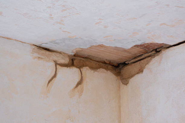 Best Flooded house restoration  in Teviston, CA