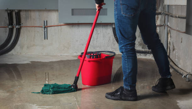 Teviston, CA Water damage restoration Company