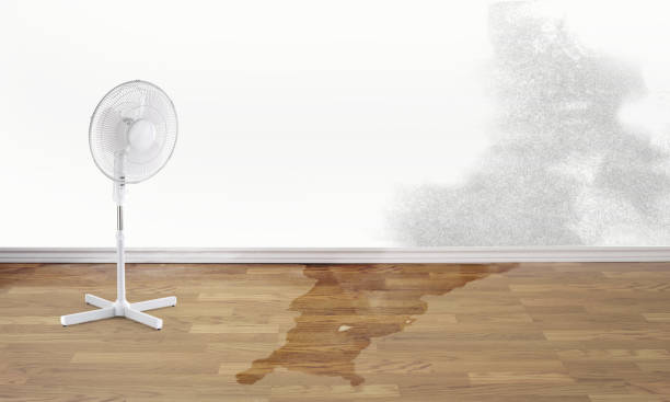 Best Emergency water damage restoration  in Teviston, CA