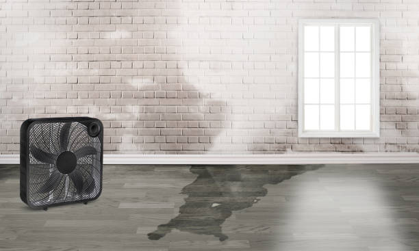 Carpet water damage restoration in Teviston, CA