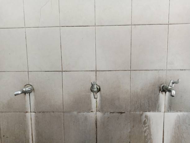 Best Water damage repair service  in Teviston, CA