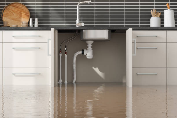 Best 24-hour water damage restoration  in Teviston, CA