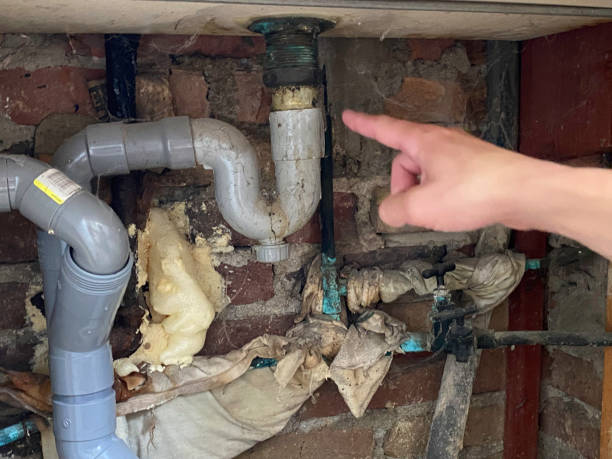 Best Mold removal after water damage  in Teviston, CA