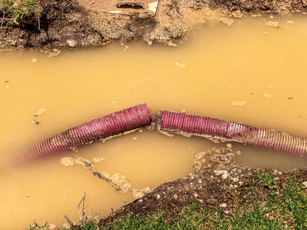 Water damage restoration experts in Teviston, CA