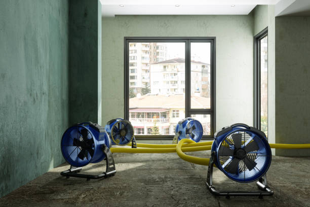 Best Fire Damage Restoration  in Teviston, CA