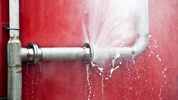 Best Flood damage cleanup  in Teviston, CA
