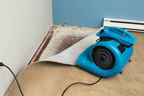 Fire Damage Restoration in Teviston, CA